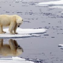 Escalofriante: los indicadores del cambio climático batieron récords en 2021