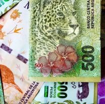 Nuevos billetes argentinos: en qu&eacute; personajes piensa el Gobierno para reemplazar a los animales