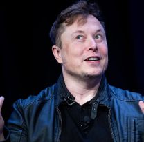 El guiño de Elon Musk a Milei y la respuesta del libertario: "Tenemos que hablar"