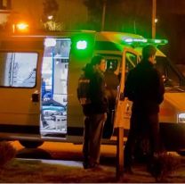 Tres perros salvaron a un motociclista accidentado de morir de hipotermia