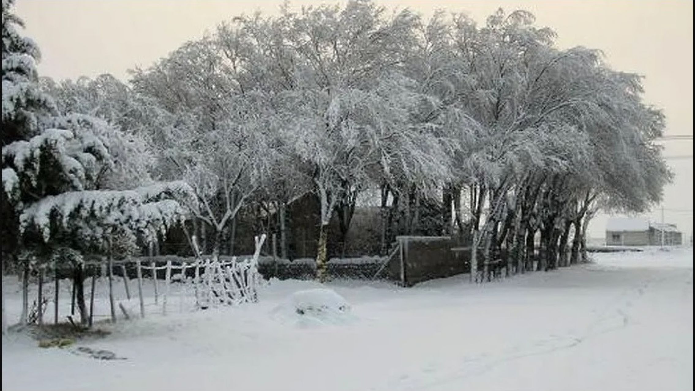 Se congeló una localidad de Río Negro: registraron -20 grados