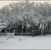 Se congeló una localidad de Río Negro: registraron -20 grados