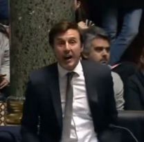 "&Ntilde;oquis, in&uacute;tiles", el marido de Pampita estall&oacute; en la Legislatura Porte&ntilde;a