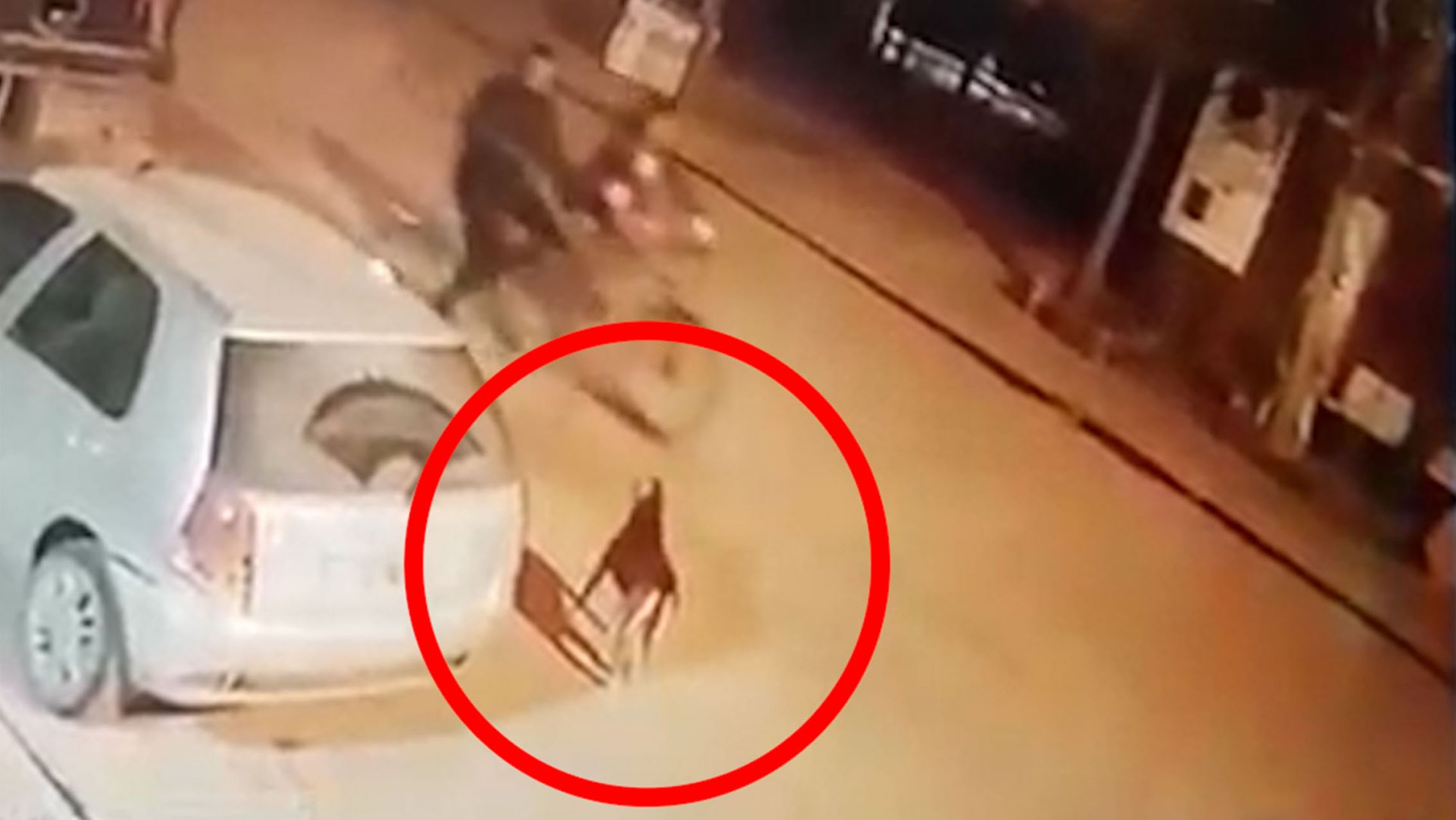 Crueldad: iban en bicicleta, un perro les ladró y lo mataron de un balazo