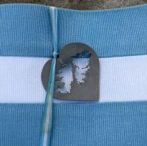 Estudiantes argentinos cantaron la Marcha de Malvinas frente al parlamento británico en Londres