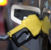 Prevén que "en diez días" comenzaría a normalizarse la provisión de gasoil