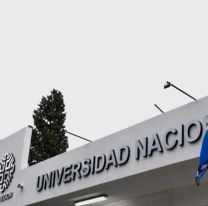 Polémica: una universidad nacional izó la bandera mapuche