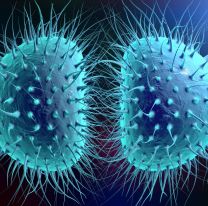 Alerta mundial por aparición de "Súper gonorrea" en Europa