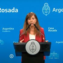 Cerruti negó la existencia de un cepo a las importaciones y confirmó el fin de la doble indemnización 