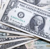 Dólar hoy: a cuánto cotiza el blue luego del récord de $290 por el "efecto Batakis"