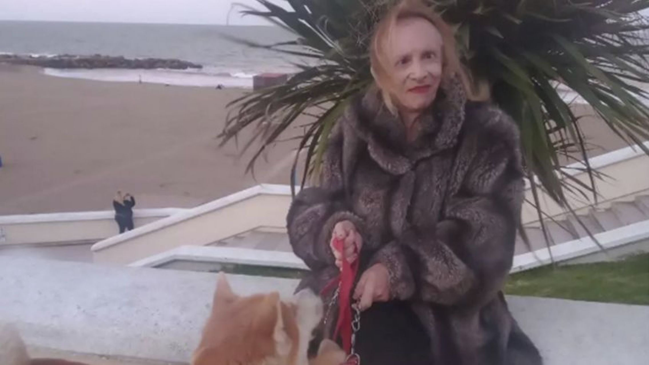 Cómo es la vulnerable vida de Zulma Lobato en Mar del Plata tras ganarle un juicio a Crónica