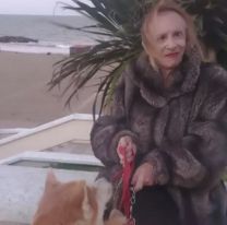 C&oacute;mo es la vulnerable vida de Zulma Lobato en Mar del Plata tras ganarle un juicio a Cr&oacute;nica