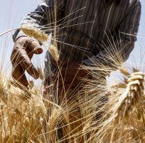 Autarquía: ¿sería mejor que un país produjera todo lo que necesita en su propio territorio en vez de importarlo?