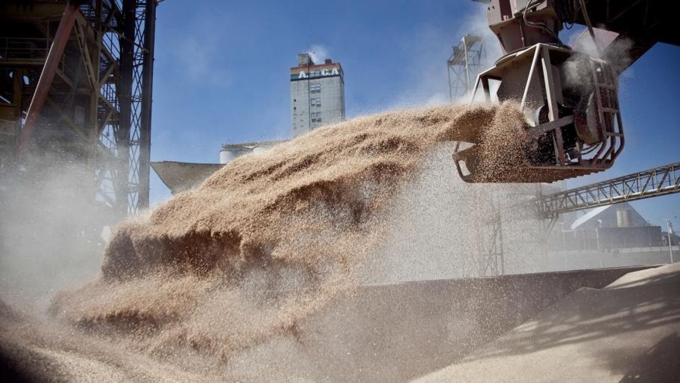 La salida de granos de Ucrania para abastecer al mundo "es cuestión de vida o muerte"