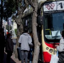 Filas, demoras y quejas: Así funciona el transporte en el AMBA