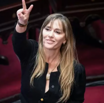 La senadora K que pidió "un policía en cada cueva" tiene más de 600 mil dólares ahorrados