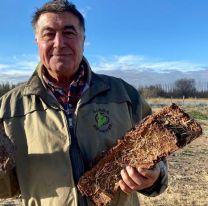 Transforma el desecho de las jugueras del Alto Valle en leña