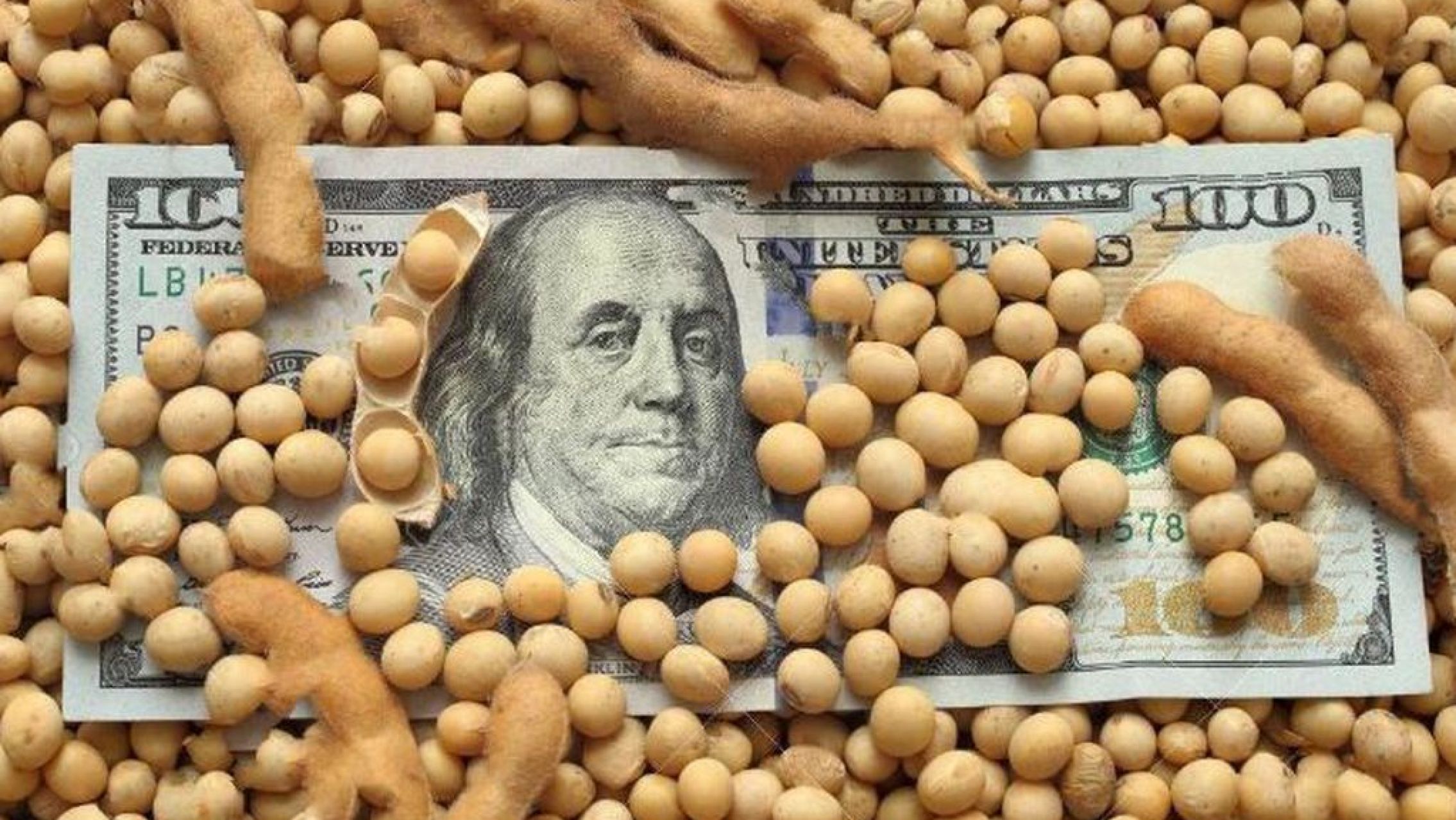 "Dólar Soja": ¿Cómo fue el rendimiento en su primera jornada?