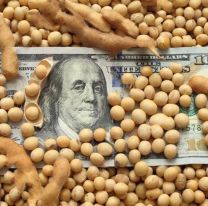 "Dólar Soja": ¿Cómo fue el rendimiento en su primera jornada?
