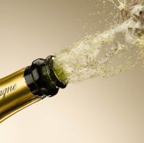 Un periodista argentino brindó al aire con Champagne por la muerte de la Reina Isabel II