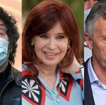 El PRO y el Frente de Todos se pelean por contar con un apoyo de Milei