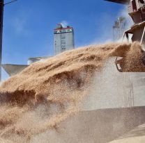 Los exportadores de soja ya ingresaron los USD 5.000 millones que habían prometido al Gobierno para septiembre